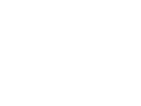 PCSS L.L.C